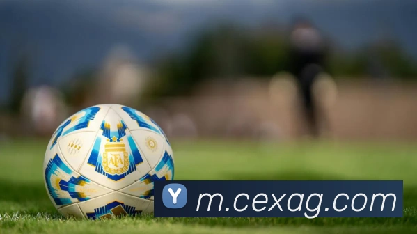 ag官网APP 封面图