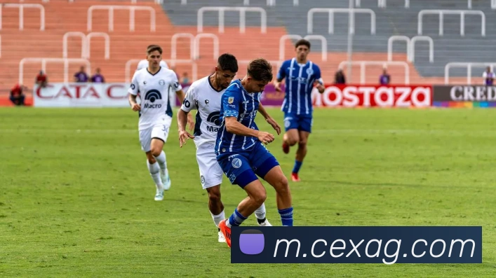 数据防护可视化